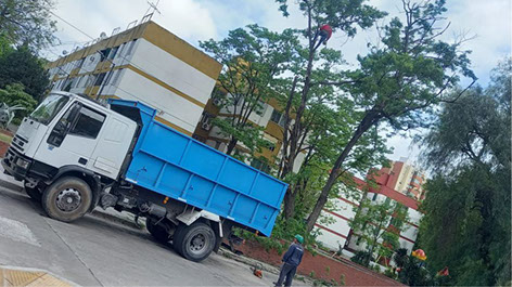 Podas El Chimi - Poda en Altura 